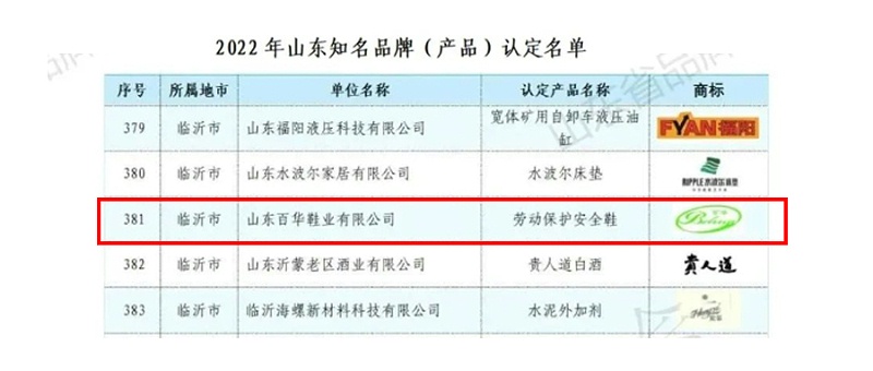 完美官网首页入口鞋业—入选2022年山东知名品牌