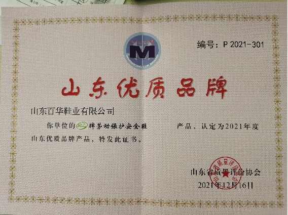 山东完美官网首页入口鞋业