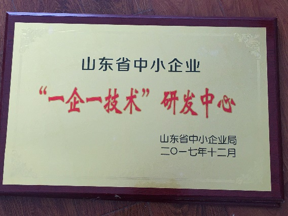 山东完美官网首页入口鞋业