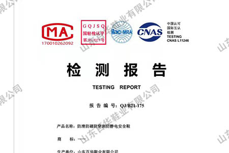 完美官网首页入口鞋业-检测报告