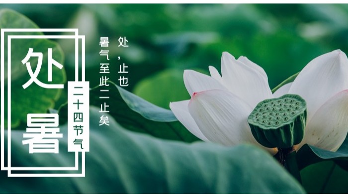 处暑已至，秋意渐浓，完美官网首页入口劳保鞋护您步步生风迎金秋